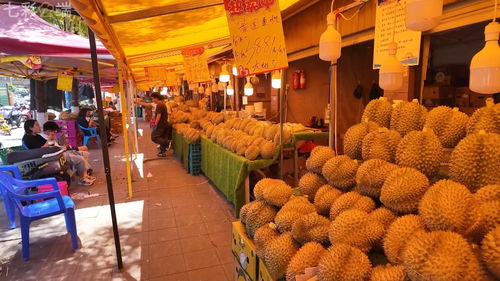 中老鐵路 客貨運雙雙突破5000萬，合作共贏之路改變我們的生活與貨機(jī)車配件行業(yè)